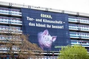 Protest gegen Edekas Fleischpolitik in Hamburg 